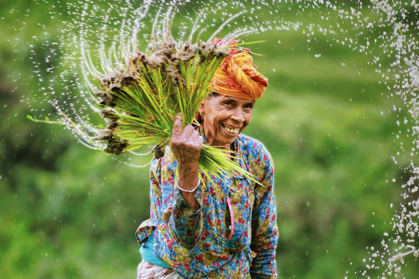 Solar Water Pump Kya Hai