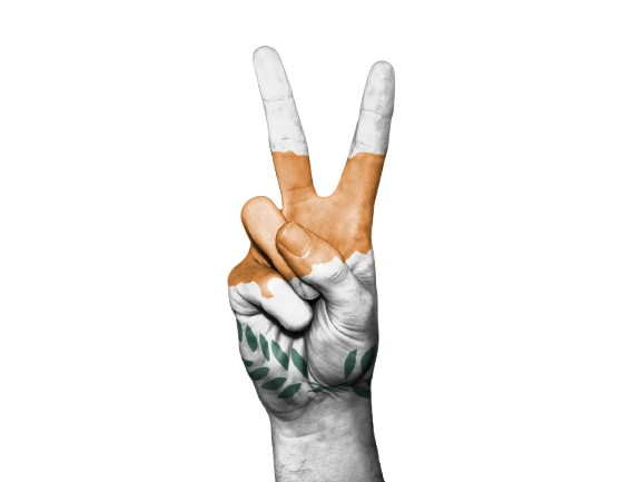 सोलर पंपिंग सिस्टम 2025 में ट्रेंड में क्यों है